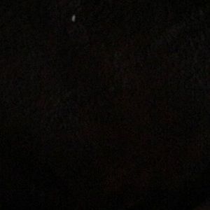 Meet your Posher, Bob